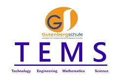 tems gsp